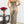 SET DAMA ASSS06931
