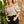 BLUSA DAMA OCX0105666