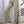 PANTALON DAMA VRL2810946